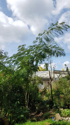 20190919_122814.jpg