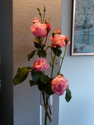 P1060477.JPG