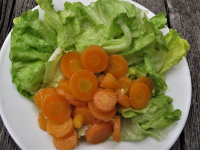 salat.img.JPG