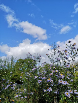 IMG_20190921_071350.jpg
