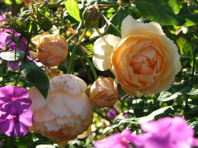21.09.2019 15-15-09_19763.jpg