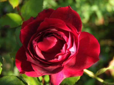 21.09.2019 15-10-19_19642.jpg
