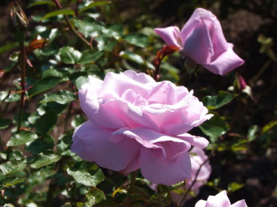 21.09.2019 15-09-31_19621.jpg