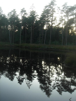 DSC07020.JPG