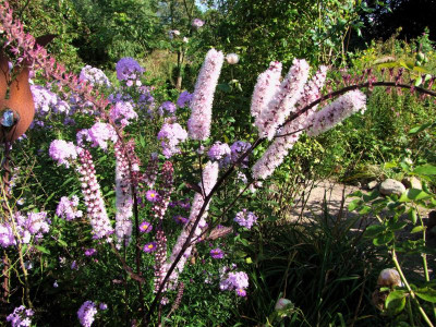 21.09.2019 15-06-56_19558.jpg