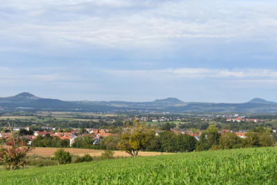 Obstlehrpfad dürnau ackermannpflaume 050.JPG