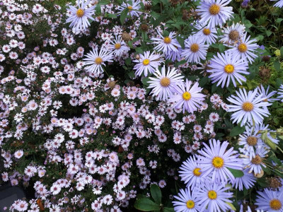 20190924_071227.jpg