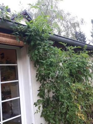 20190924_072249.jpg