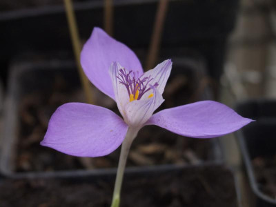 DSCF5600.JPG