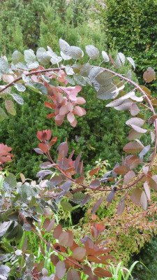 DSCN4751.JPG