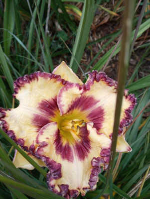 20190926_140736_HDR.jpg