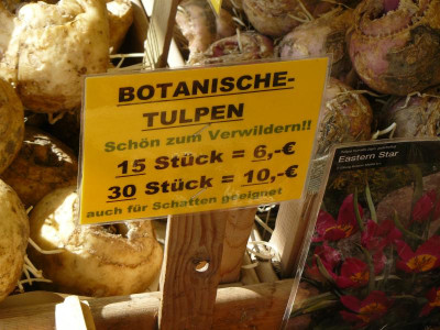 Uferwall 949.jpg