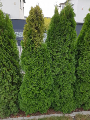 20190927_173328.jpg
