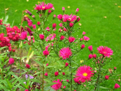 28.09.2019 19-38-35_20002.jpg