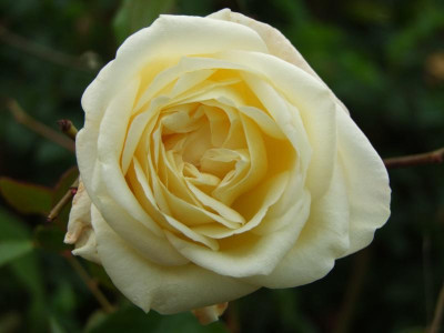 28.09.2019 19-38-00_19988.jpg