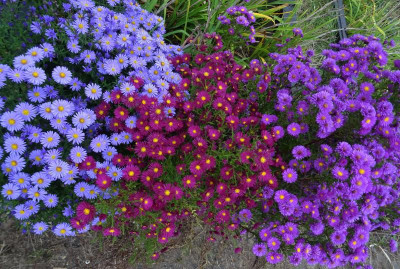 DSC02794.JPG