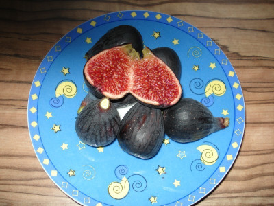 Neg_081009.jpg