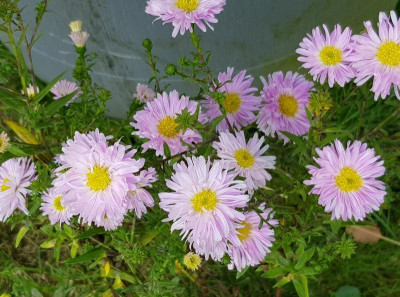 20190927_163410_1.jpg