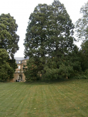 Villa Reitzenstein 075.JPG