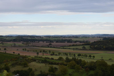 Haslach. Ochsenbach, Feigen, Quitten 034.JPG