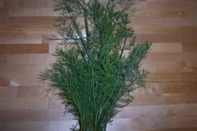 K640_100_3715.JPG