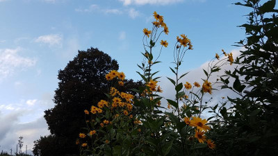 20191002_182002.jpg