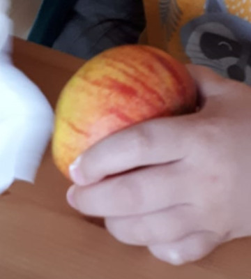 Chritoph 408 groß.jpg