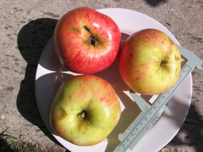 IMG_5864.JPG