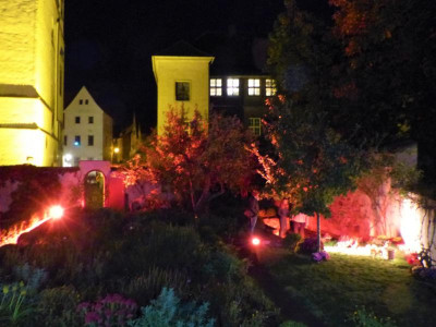 P1100128 - Kopie.JPG