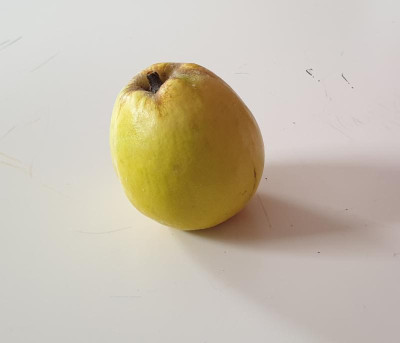 20191006_190534.jpg