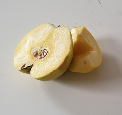 20191006_190501.jpg