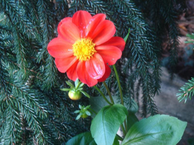 DSC07032.JPG