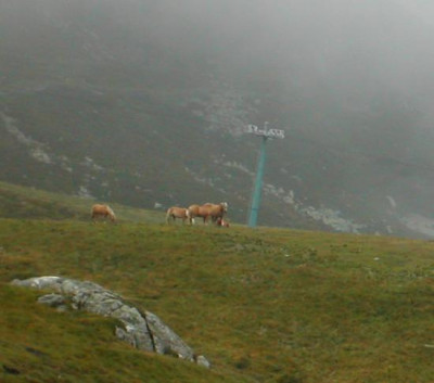 s_nebel_hafis.jpg