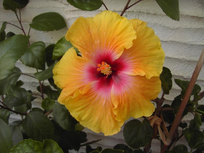 PICT2776.JPG