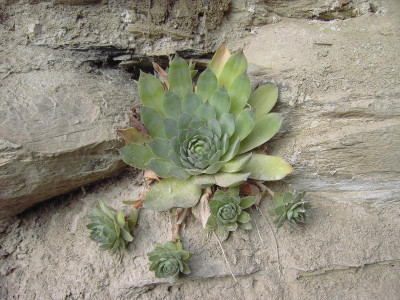 PICT2777.JPG