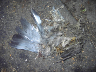 PICT2806.JPG