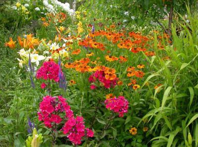 Juni_2007.jpg