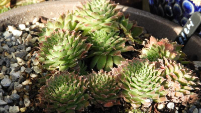 DSCN4831.JPG