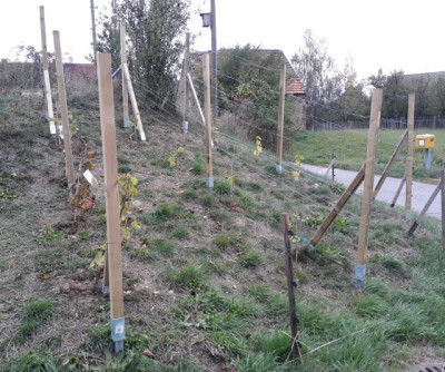 rps20191011_200927.jpg
