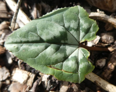 20191012_224358.jpg