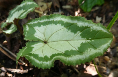 20191012_224630.jpg