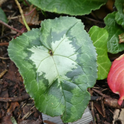 20191012_224830.jpg
