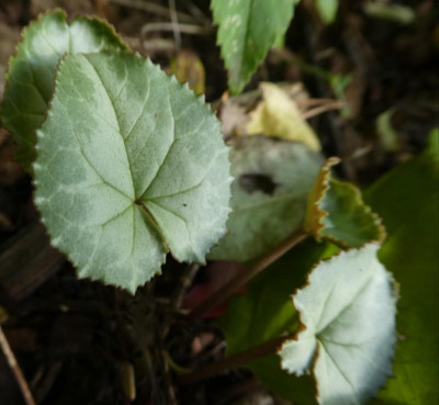 20191012_225326.jpg
