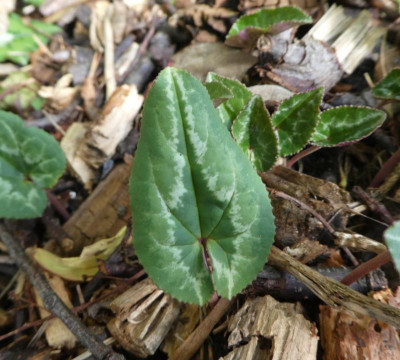 20191012_225923.jpg