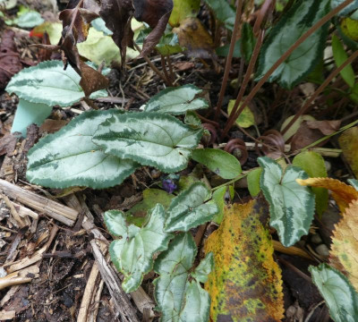 20191012_230052.jpg