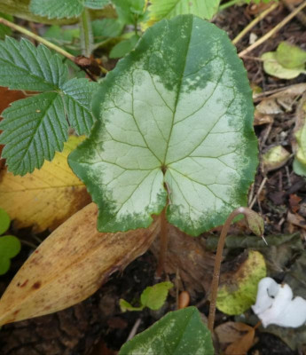 20191012_230203.jpg
