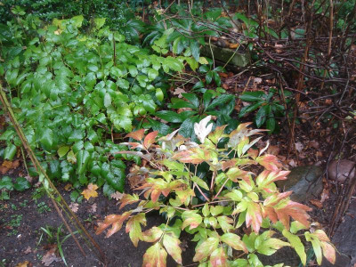 DSC07078.JPG