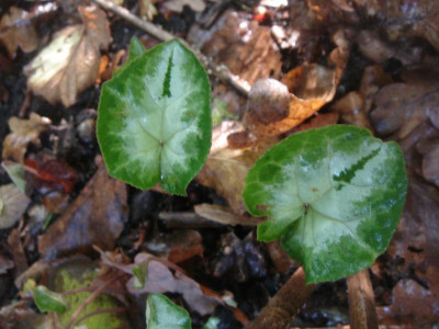 DSC07058.JPG