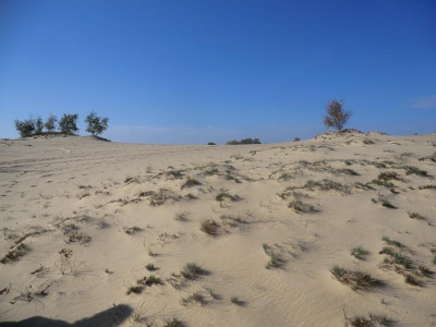 CIMG2705.JPG