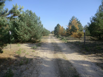 CIMG2712.JPG